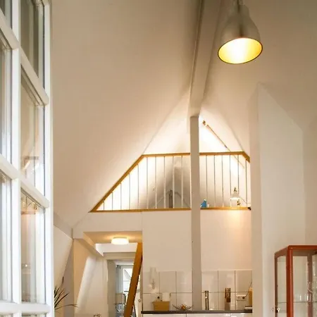 Meloni Comfortable *