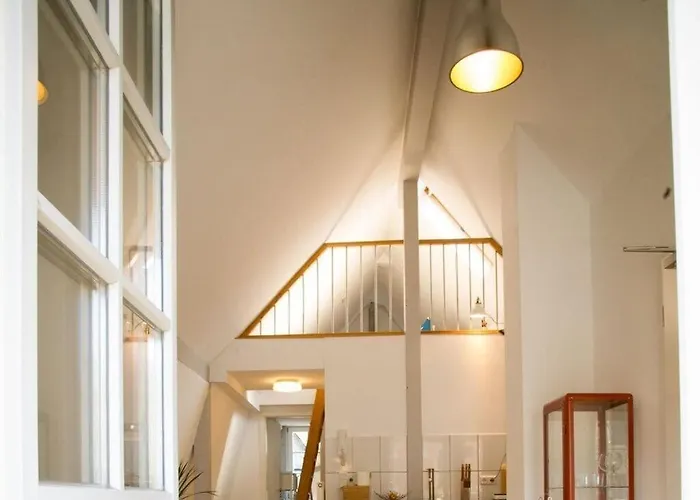 Meloni Comfortable *